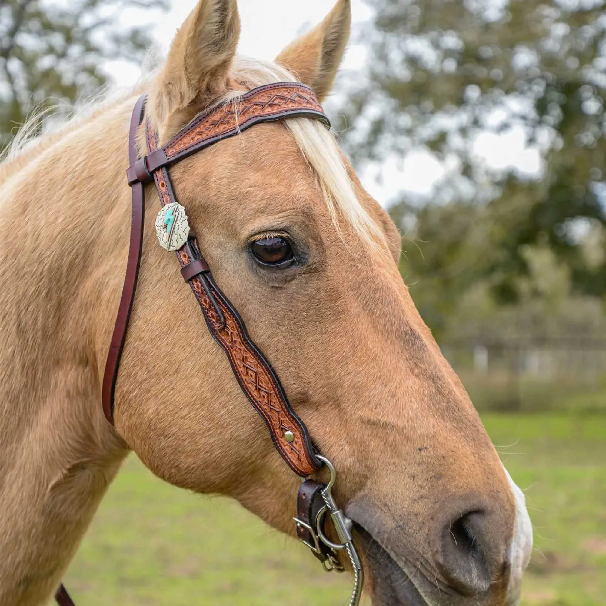 Circle Y Montana Browband Headstall, Full