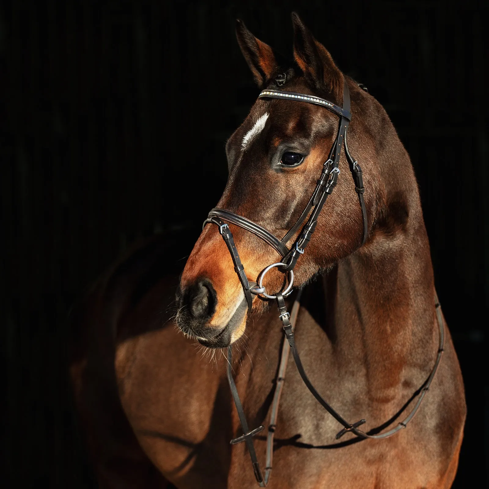 Horze Weston Bridle