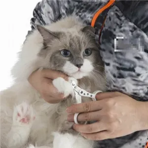 Necoichi Purrcision Feline Nail Trimmer