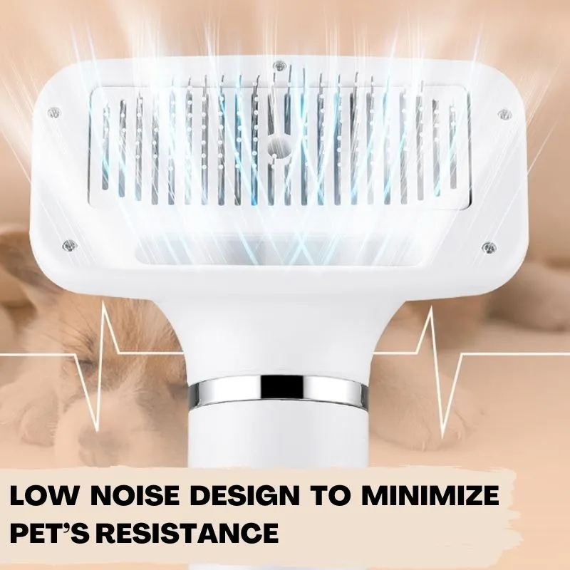 Pet 2-in-1 Dryer with Slicker Brush