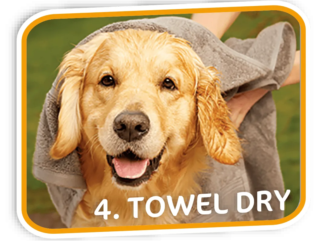 Pet Fresh Wash Mitts