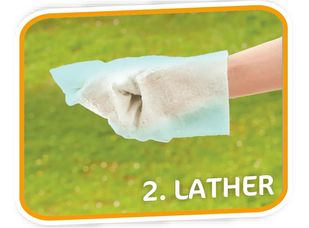 Pet Fresh Wash Mitts