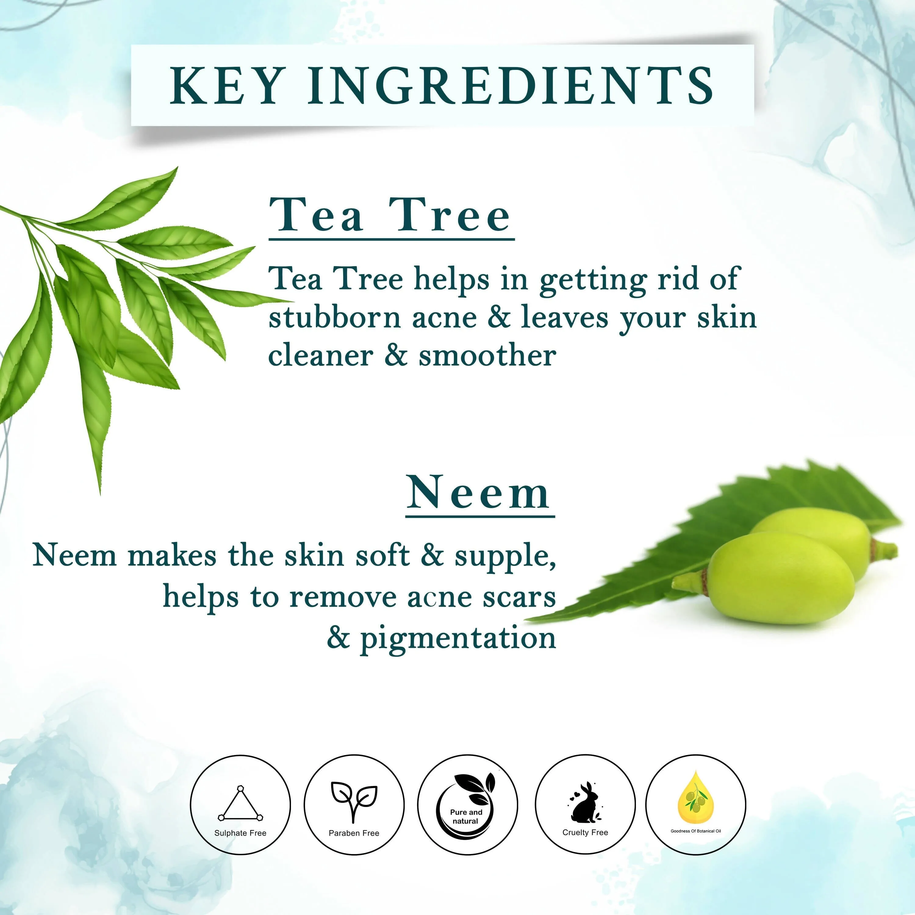 Tea Tree and Neem Cleansers Combo